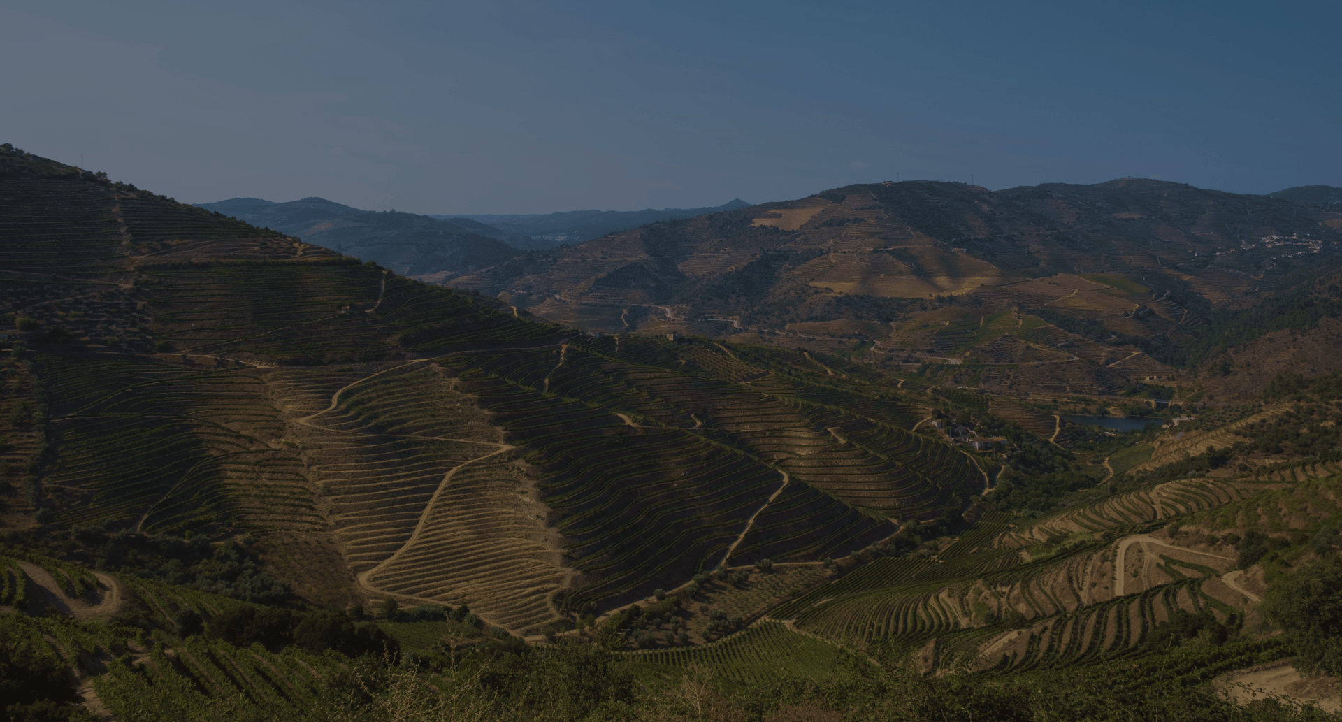 Enjoy the unique and dazzling landscape and you will have the opportunity to watch the beautiful Douro valleys over the river.