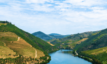 Enjoy the unique and dazzling landscape and you will have the opportunity to watch the beautiful Douro valleys over the river.