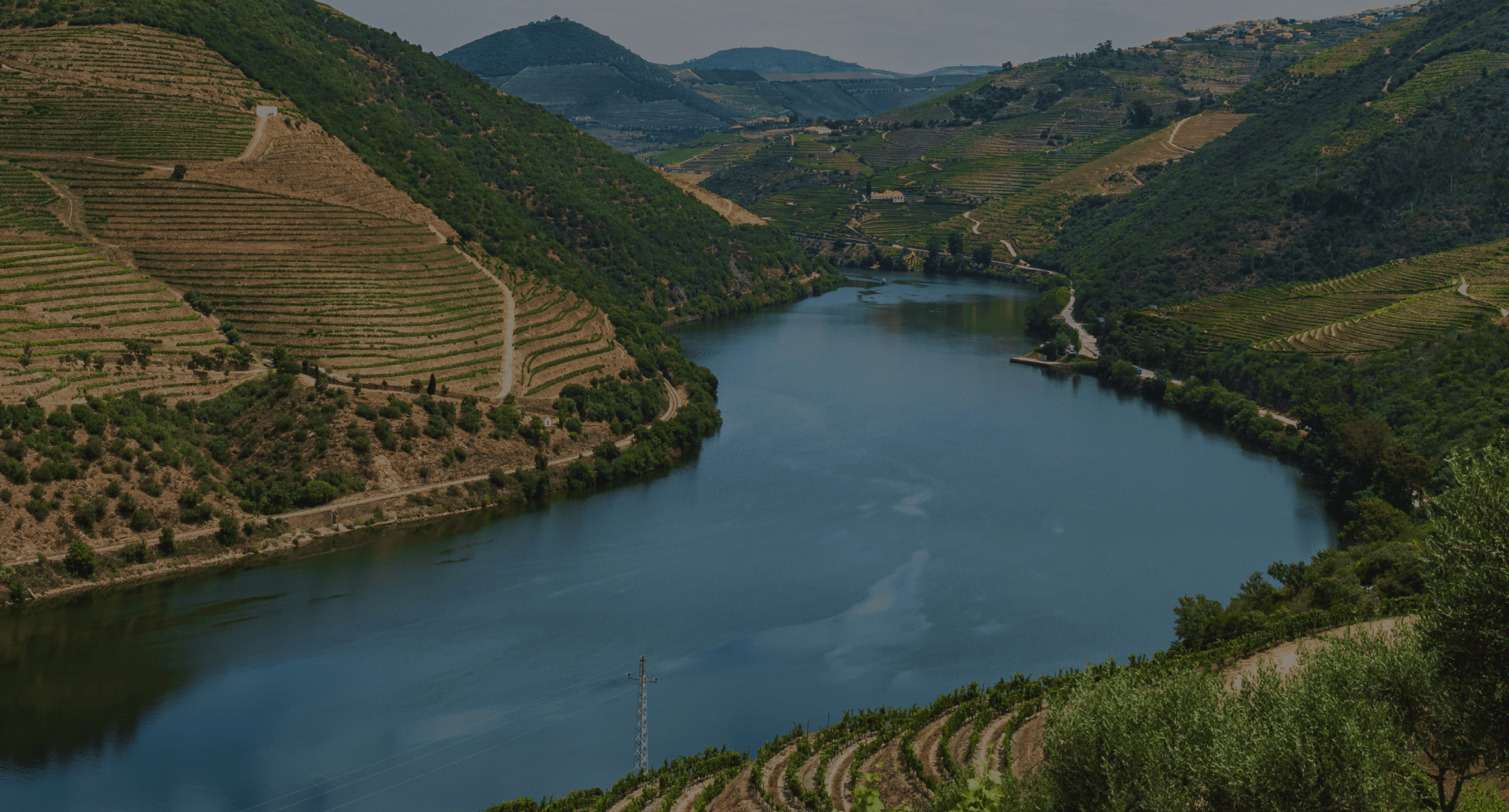 Enjoy the unique and dazzling landscape and you will have the opportunity to watch the beautiful Douro valleys over the river.