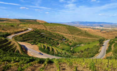 The Will to show the best that Portugal has to offer, together with the pleasure of driving and allied to the sensations of Nature