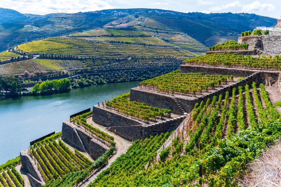 Douro Wine Tour EXCLUSIVE (Private)