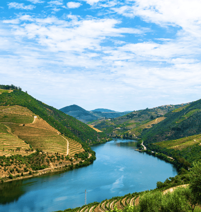 Enjoy the unique and dazzling landscape and you will have the opportunity to watch the beautiful Douro valleys over the river.