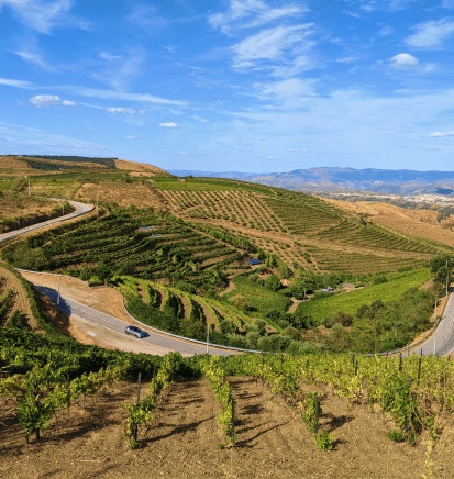 Enjoy the unique and dazzling landscape and you will have the opportunity to watch the beautiful Douro valleys over the river.